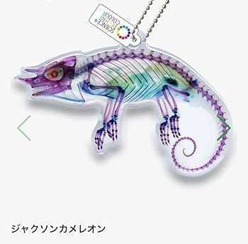 カメレオン アクリル画 Amazon | ガチャガチャいきもん サイエンステクニカラー 新世界